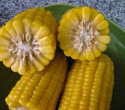 Boiled corn